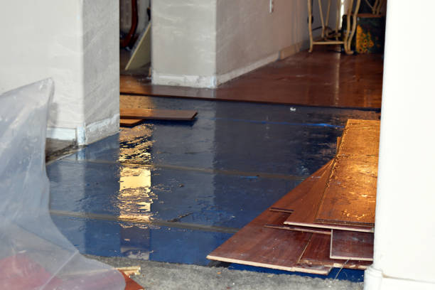 Professional Water Damage Restoration technician working in Brookline, MA